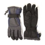 Polar Expo Ski Handschoenen Blauw/Grijs - One Size Fits All