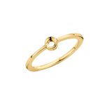 Melano Twisted Ring Petite Goud