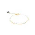 Go Dutch Label Armband met Kleine Muntjes Goud