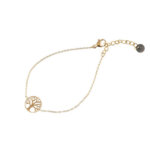 Go Dutch Label Armband met Levensboom Goud