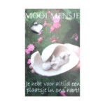 Mooi Mens Wenskaartje Je Hebt Voor Altijd Een Plaatsje In Ons Hart!