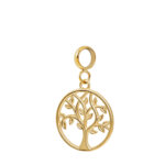 iXXXi Connect Bedel Life | Goud