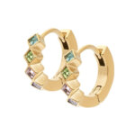 iXXXi Oorringen Blossom | Goud