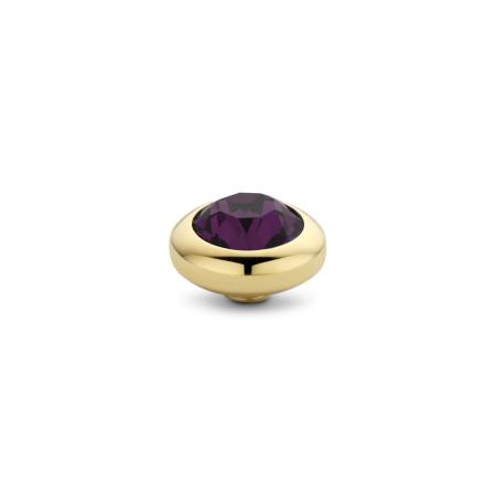 Melano Vivid Basic CZ Steentje Aubergine | Goud